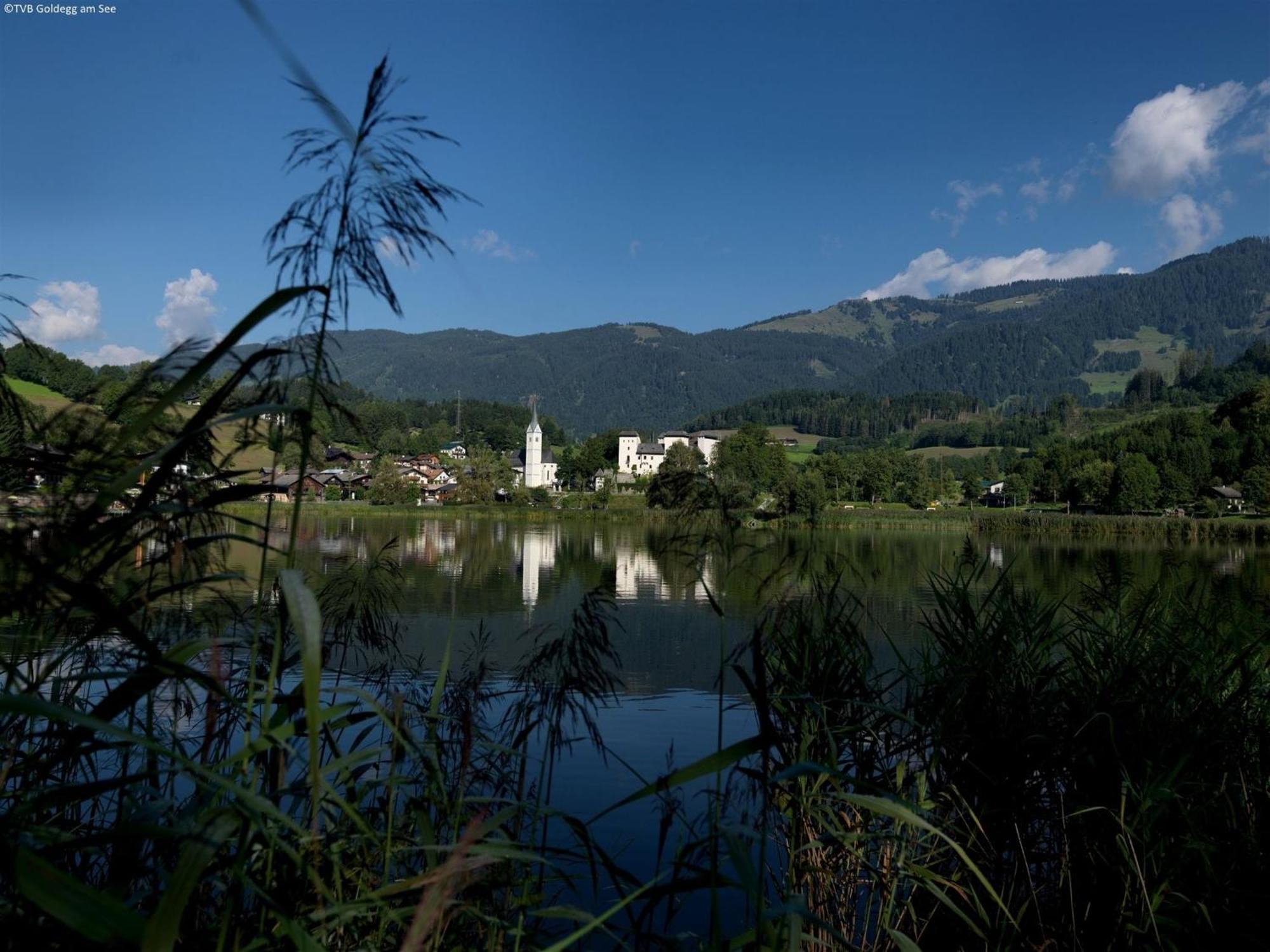 Luxurious Mansion In Goldegg Near Skiing Area المظهر الخارجي الصورة